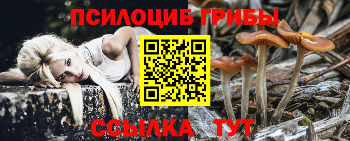 Псилоцибиновые грибы ЛСД  где можно купить наркотик  Вход с VPN  Новотроицк  Псилоцибиновые грибы Cubensis 